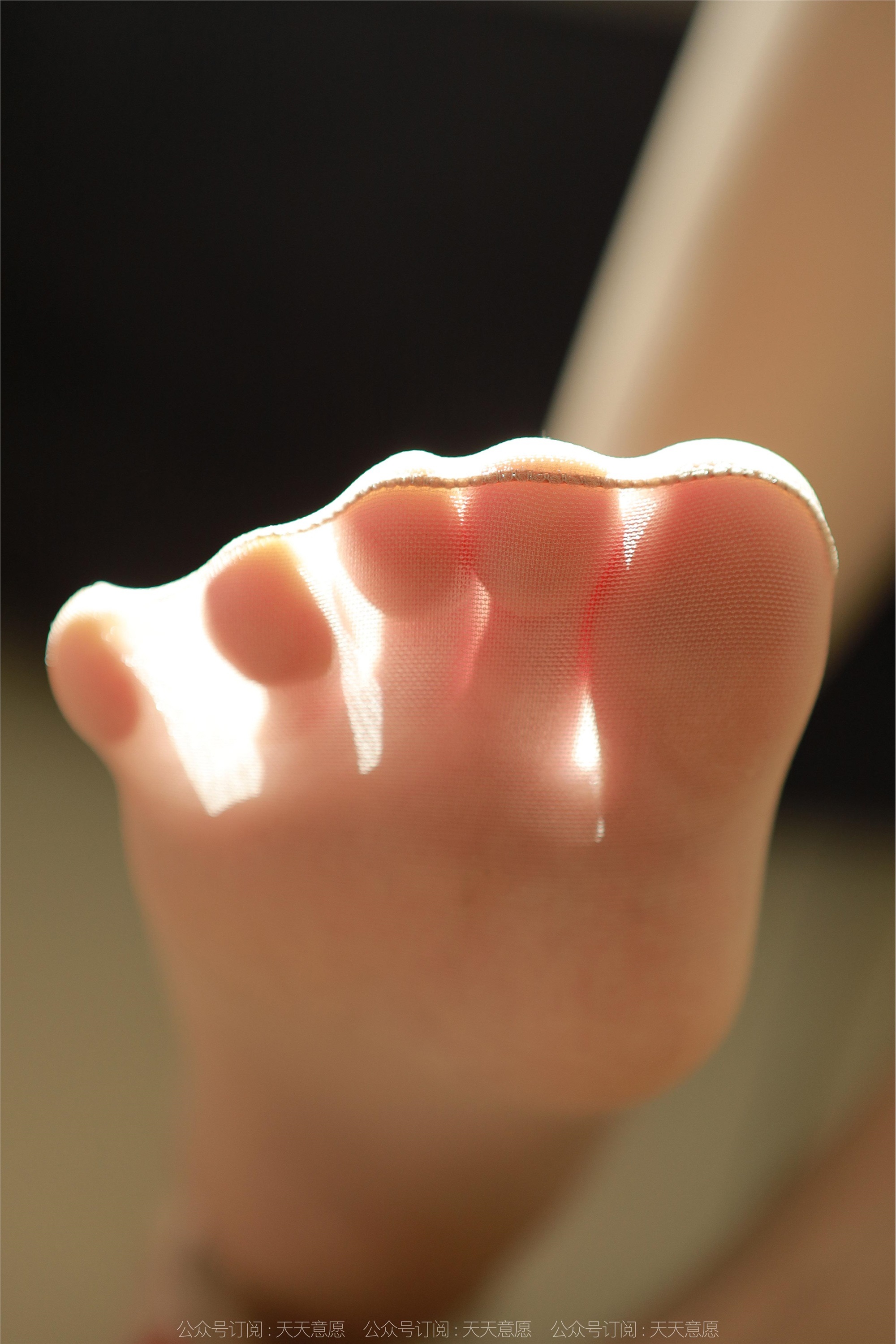 IESS异思趣向  2022.11.14 丝享家 1268 小婕《阳光满屋》